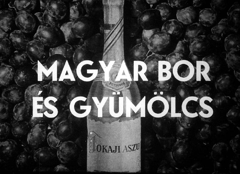 Magyar bor és gyümölcs