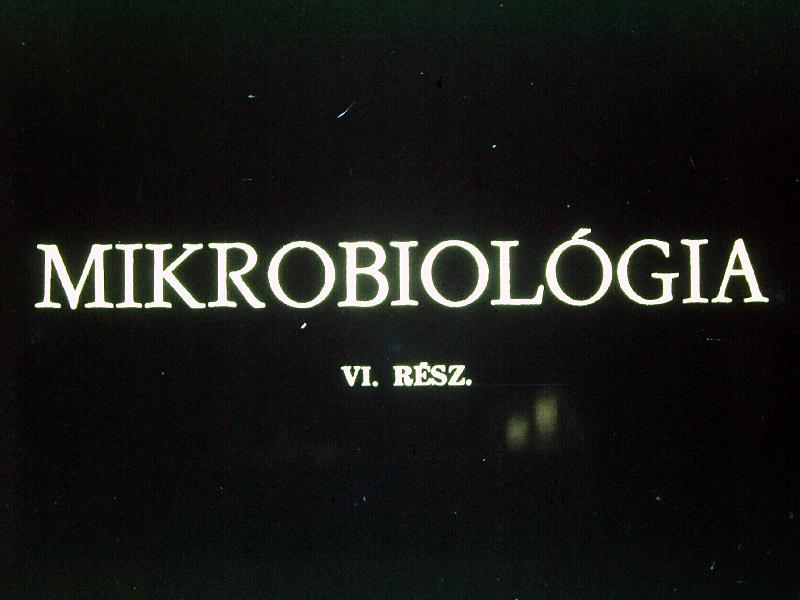 Mikrobiológia VI.