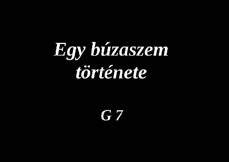 Egy búzaszem története  