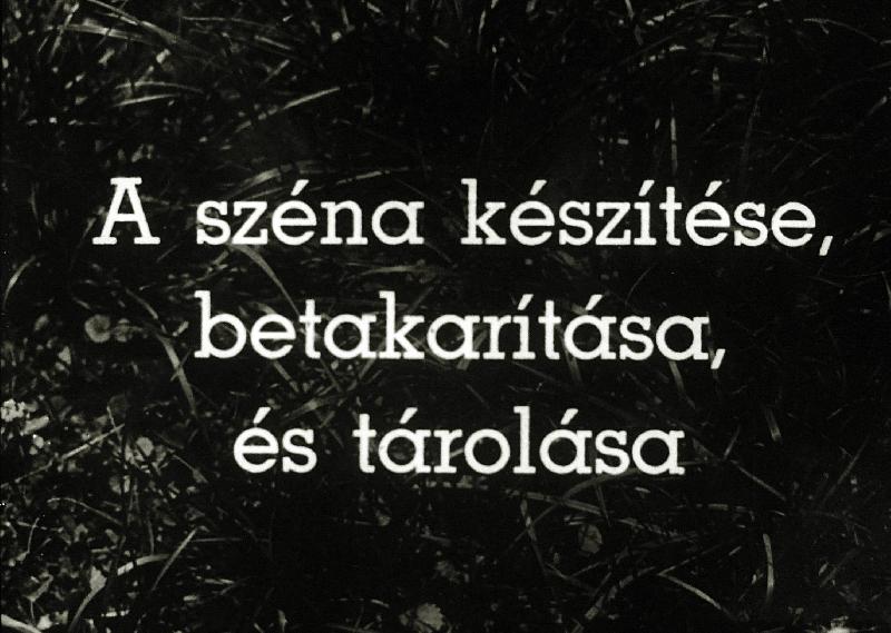 A széna készítése, betakarítása, és tárolása