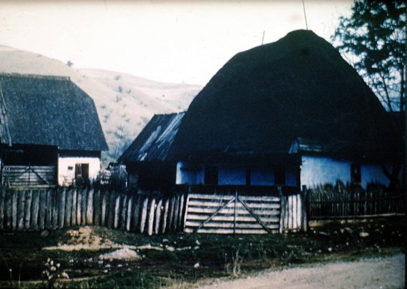 Földrajz a gimnáziumok II. osztálya számára